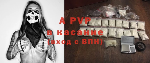 прущий лед Богданович