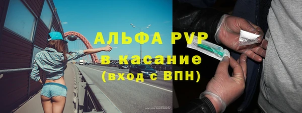гашик Бородино