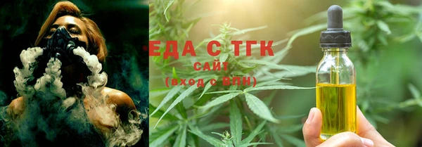 гашик Бородино