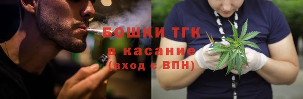 гашик Бородино