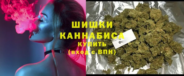 гашик Бородино