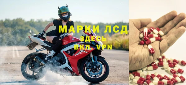 гашик Бородино
