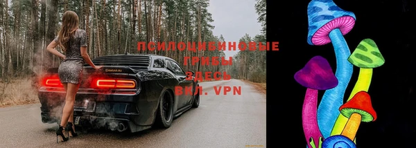 стаф Бугульма