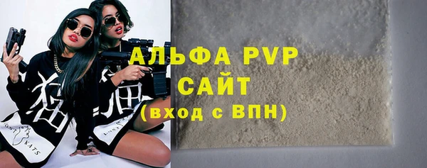 прущий лед Богданович